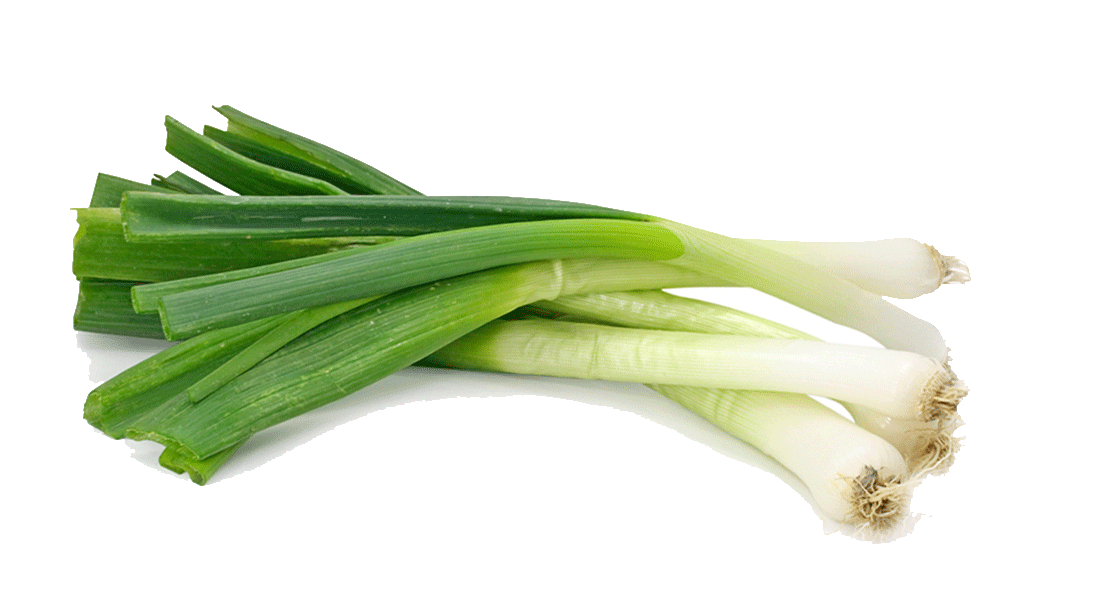 De Stem van de Toekomst